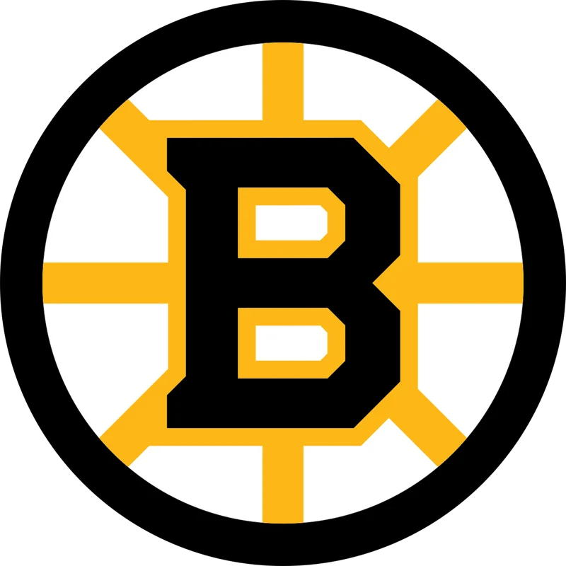 NHL Boston Bruins