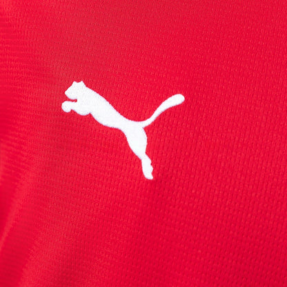 Austria Home Jersey 2026 World Cup Football Kit Soccer Shirt