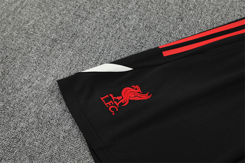 Liverpool Training Tracksuits 25/26 Football Kit Soccer Jersey