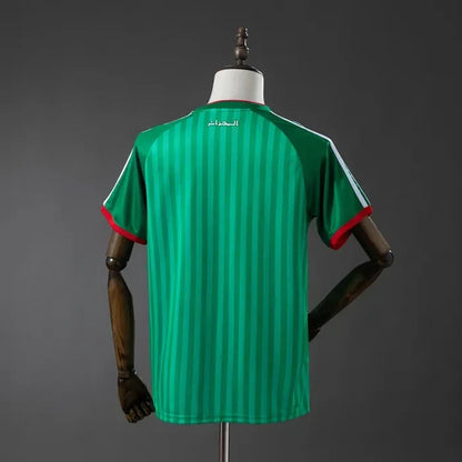 Algeria Away Jersey 2026 World Cup Football Kit Soccer Jersey