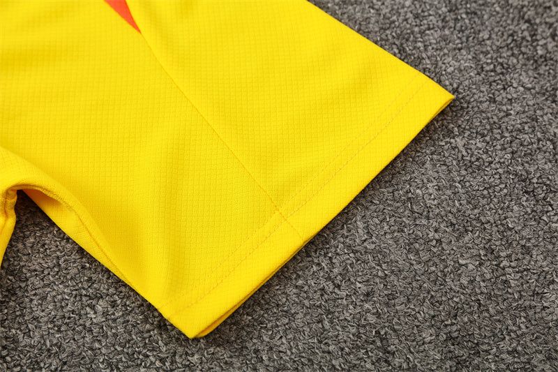 Brazil Training Tracksuits 2025/26 Football Kit Soccer Jersey