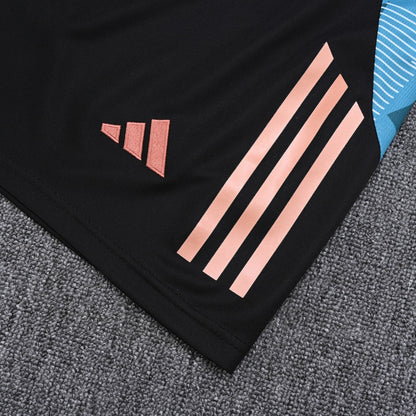Bayern Munich Vest Set Training Tracksuits 25/26 Football Kit Soccer Jersey