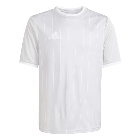 adidas Youth Entrada 26 Graphic Jersey - Light Grey