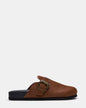 WOOLY CHESTNUT