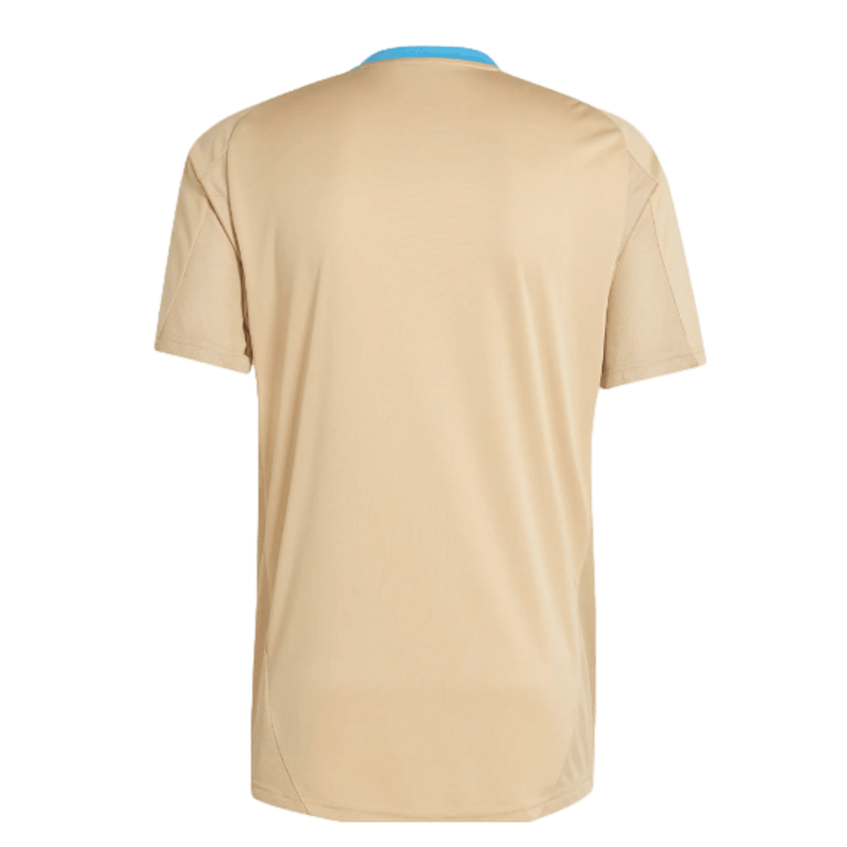 Adidas Argentina Training Jersey