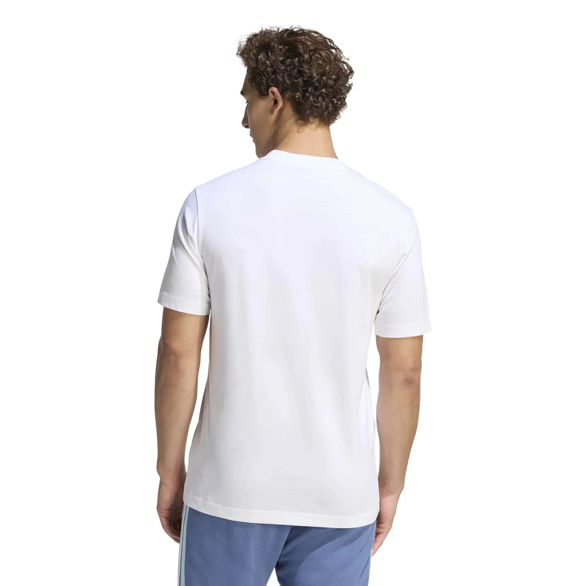 adidas 2026 Argentina Men's DNA Graphic Tee