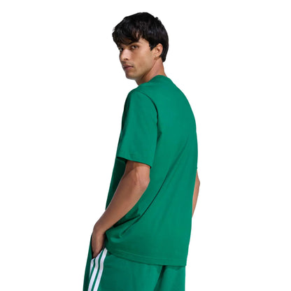 adidas 2026 Mexico Men's DNA Graphic Tee