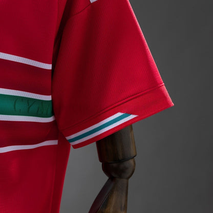 Wales Jersey 2026 World Cup Home Football Kit