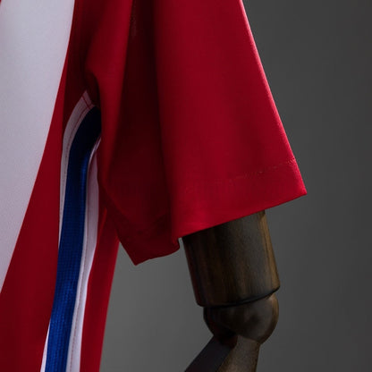 Atletico Madrid Jersey 2016-17 Home Retro Football Kit