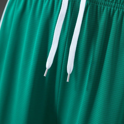 Northern Ireland Home Shorts 2026 Football Kit Soccer Shorts