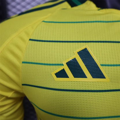 Player Version Celtic Away Kit 24/25 Football Jersey