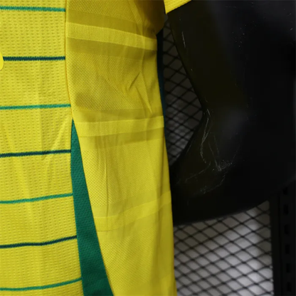 Player Version Celtic Away Kit 24/25 Football Jersey