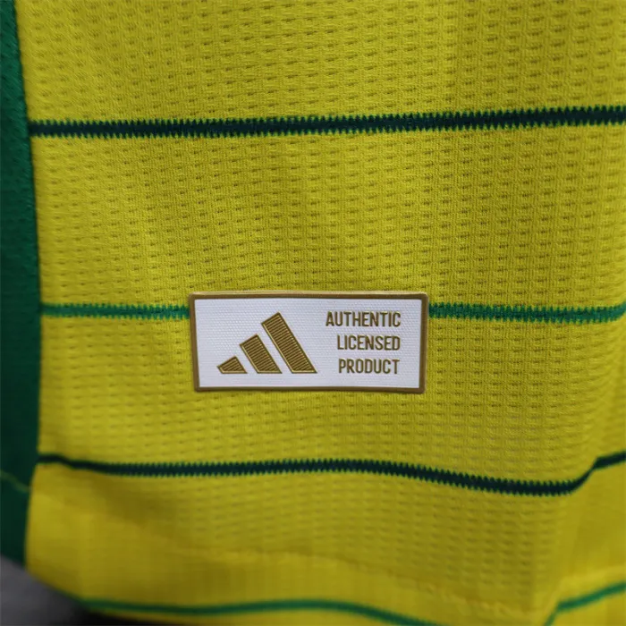 Player Version Celtic Away Kit 24/25 Football Jersey