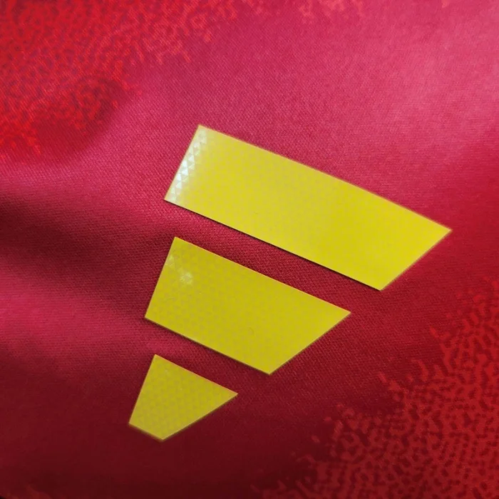 Player Spain Home Kit 24/25 Euro Cup 2024 Football Jersey