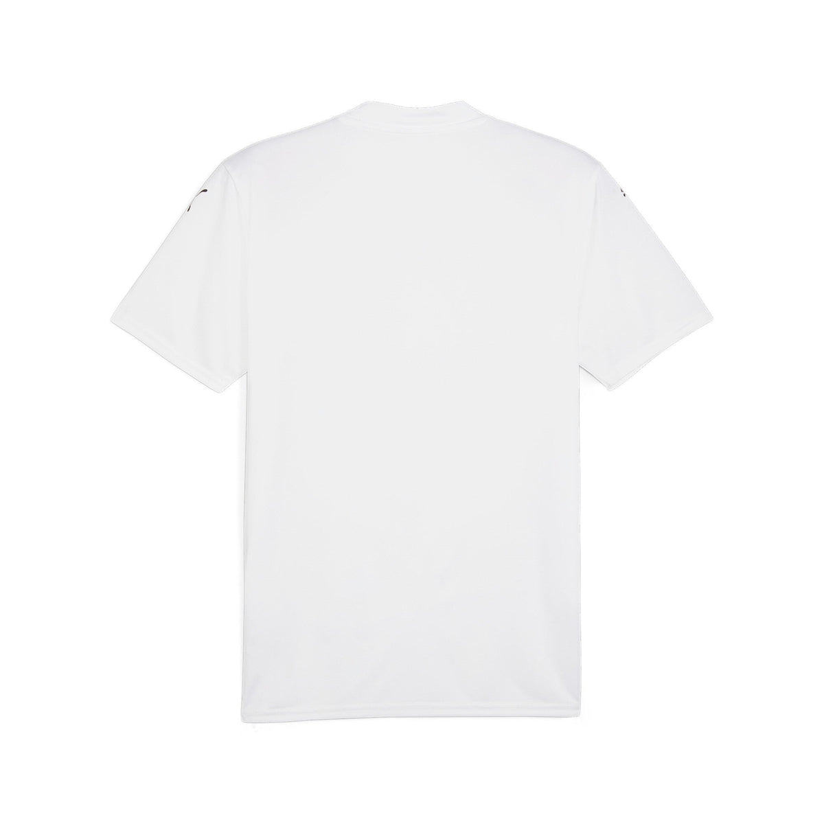 Puma TeamGlory Youth Jersey - White [WHITE]